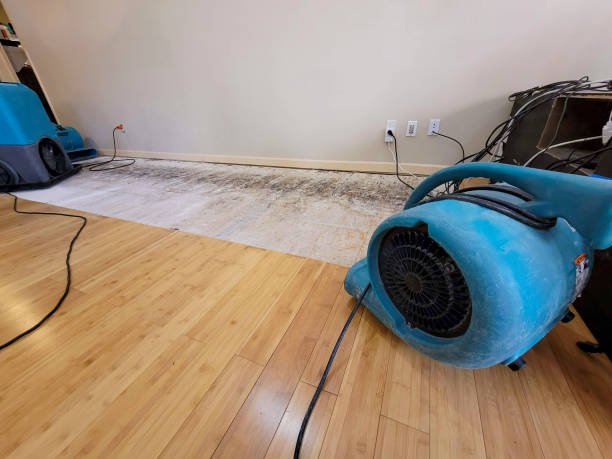 Professional Flood Damage Cleanup technician working in Oshkosh, WI